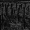 Fields of Devastation