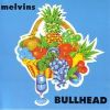 Bullhead