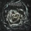 Spiral of violence