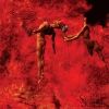 The Sullen Sulcus