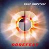 Soul survivor