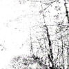 The White EP