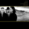 Joshua Tree, The