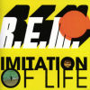 Imitation Of Life