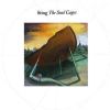 Soul cages, The