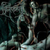 Recounts of disembodiment