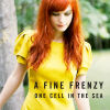 One cell in the sea