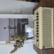 Myydn: Yamaha THR10II - muutaman kerran käytetty (#2012373)