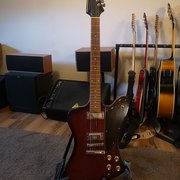 Myydn: Tokai firebird Japan (#2012791)