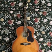 Myydn: Ibanez SGT630 Jumbo akustinen (#2013610)