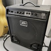 Myydn: Peavey MAX 112 combo (#2014332)