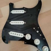Myydn: Cool Z (Fujigen) stratocaster ladattu pleksi (#2016201)