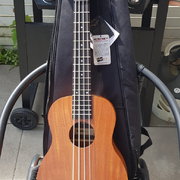 Myydn: KALA U-Bass model Nomad FS (#2016493)