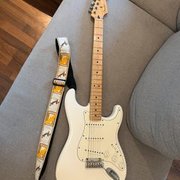 Myydn: Fender Player stratocaster MN PWT (#2021473)