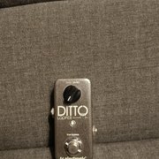 Myydn: Tc electronic ditto looper (#2021627)