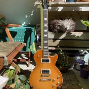 Myydn: Gibson Les Paul Traditional T Plus Honey Burst 2017 (#2022368)
