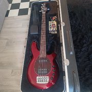 Myydn: Music Man Bongo 5HS (#2022955)