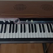 Myydn: EKO Tiger Mate Deluxe - Technics  SX-K200 (#2029509)