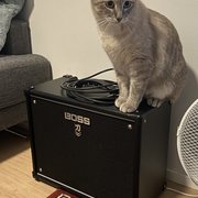 Myydn: Boss Katana MKII 50W Kitaravahvistin (#2030406)