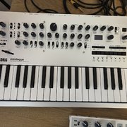 Myydn: Korg Minilogue (#2033926)