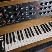 Myydn: MINIMOOG Model D with flightcase (#2037798)