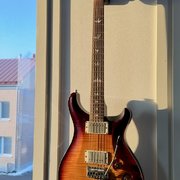 Myydn: PRS DGT 2013 Birds (#2037881)