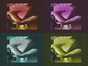 28.05.2012 13:38  -  412×608  -  31 kt.