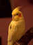 07.10.2003 14:34  -  200×267  -  7 kt.