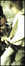 22.03.2006 17:57  -  187×488  -  22 kt.