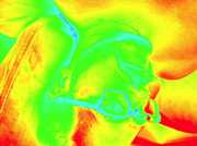 22.07.2013 22:04  -  1024×765  -  80 kt.