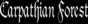 31.08.2004 16:11  -  453×121  -  23 kt.