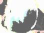 01.04.2015 10:30  -  200×113  -  4 kt.