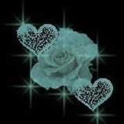 20.12.2006 19:50  -  160×160  -  4 kt.