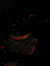 04.01.2007 09:45  -  450×600  -  17 kt.