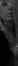 25.01.2007 17:04  -  138×496  -  7 kt.