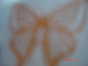 13.02.2007 10:01  -  640×480  -  15 kt.