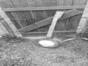 25.05.2025 14:27  -  553×1200  -  177 kt.
