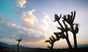 29.03.2007 11:46  -  500×296  -  22 kt.