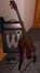18.04.2007 16:57  -  339×600  -  37 kt.