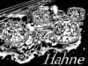 06.05.2007 23:43  -  800×600  -  126 kt.