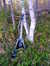 21.08.2006 19:47  -  450×600  -  91 kt.
