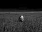 01.08.2004 18:04  -  800×600  -  135 kt.