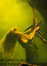 30.07.2007 01:27  -  286×400  -  17 kt.
