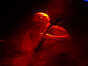 17.01.2008 08:36  -  400×600  -  22 kt.