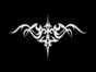 21.01.2008 20:29  -  604×300  -  11 kt.