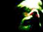 02.05.2005 15:21  -  400×300  -  10 kt.