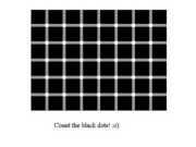 08.09.2005 17:23  -  360×270  -  10 kt.