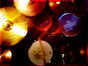 05.12.2008 11:30  -  640×480  -  57 kt.