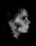 03.01.2006 15:46  -  101×130  -  1 kt.