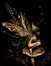 09.10.2003 10:35  -  216×280  -  13 kt.